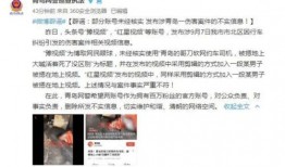 爆料村镇银行事件视频完整版,真相与反思