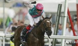 四川马小姐最新爆料,揭秘事件背后惊人真相